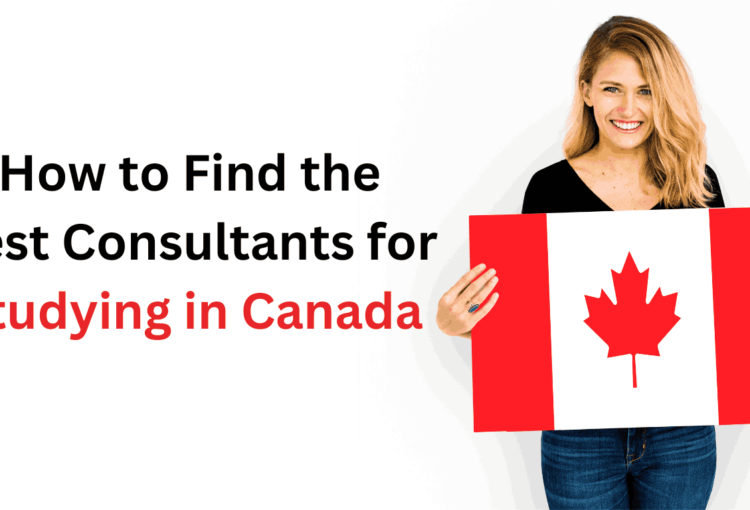 How Do You Find and Select the Best Canada Education Consultant for You?